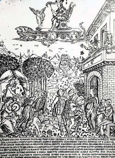 فينوس ، ج 1446 بواسطة باتشيو بالديني